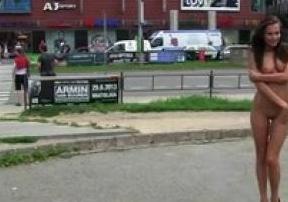   #5690 - ,   , , ,  , 