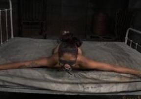   #117 - HD, , , ,  , , , , 