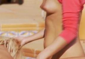   #7312 - HD, , , , ,  , , 