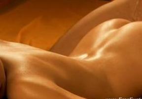   #1426 - HD, ,  , , , ,  