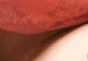   #1687 - HD,  , , , ,  , 