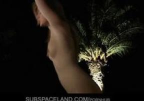   #203 - HD, , , , ,  , 