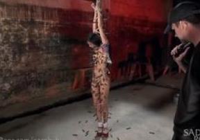   #1536 - HD, , , ,  , , , 