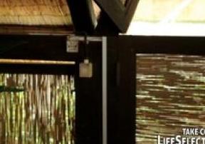   #1333 - HD, , , , ,  ,  