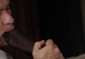   #8263 - Full HD, ,  ,  , ,   